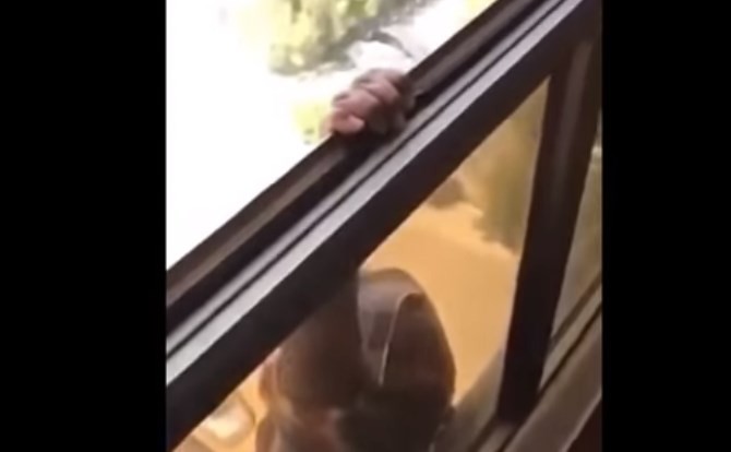 Cárcel para la mujer que en vez de ayudar, grabó a su empleada doméstica cayendo desde un séptimo piso | Internacionales