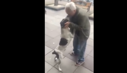 Piel de gallina: se reencontró con su perro tres años después de haberlo perdido | Redes