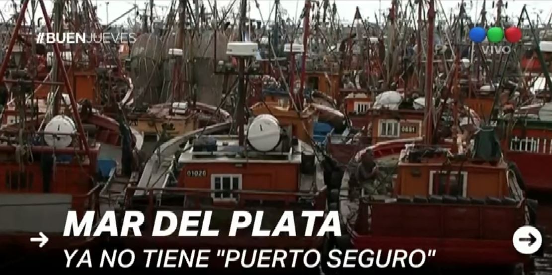 Mar del Plata perdió su estatus internacional como puerto seguro | Actualidad