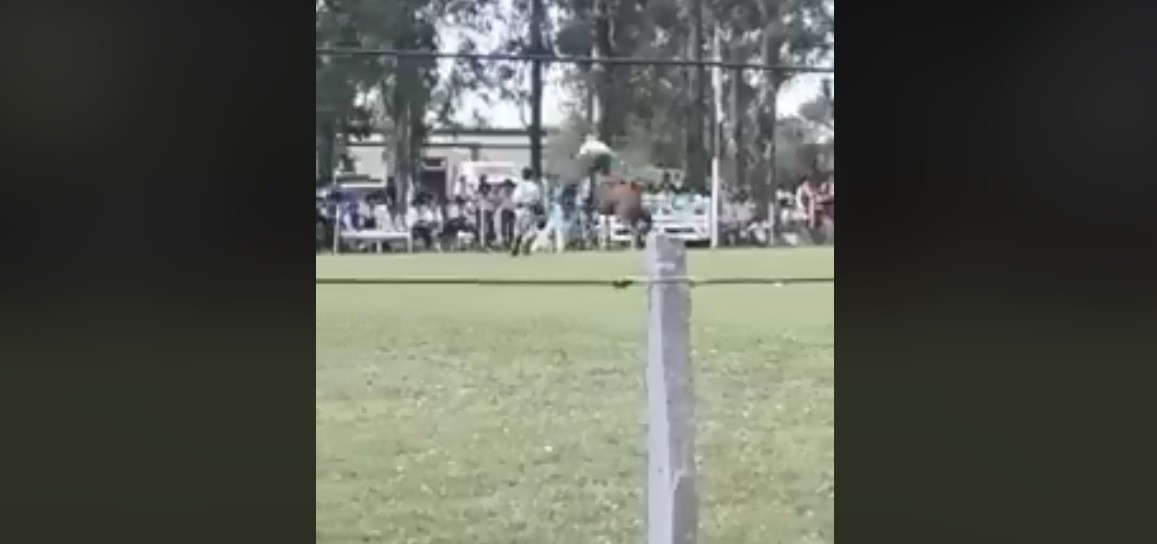 Un jinete fue aplastado por su caballo y murió en medio de una doma | Actualidad