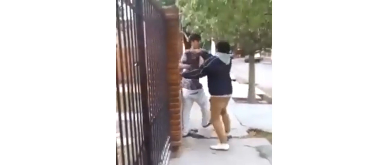 Video: un perro muerde sin piedad a unos borrachos en plena pelea callejera | Redes