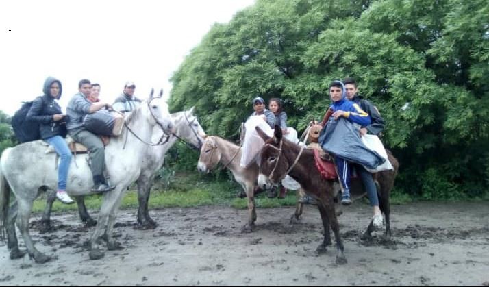 Recorrieron 25 kilómetros a caballo para asistir a una Feria de Ciencias, en la que ganaron | Actualidad