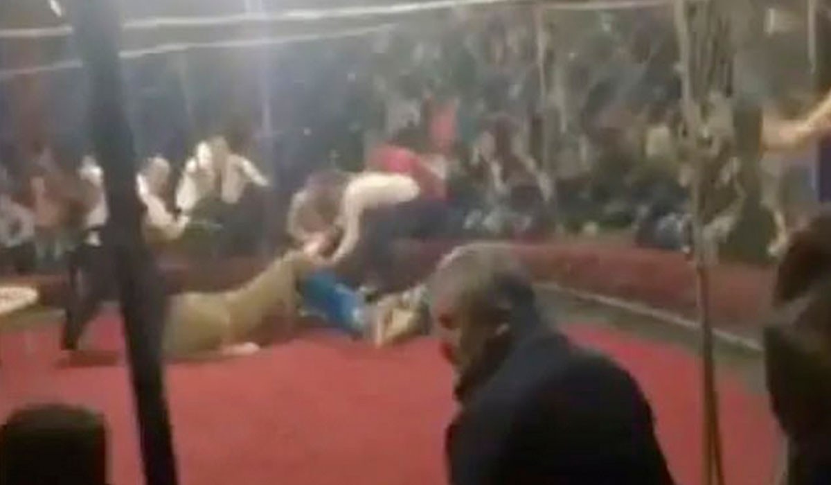 Video escalofriante: el momento que una leona ataca a una nena de 4 años en un circo ruso | Curiosidades