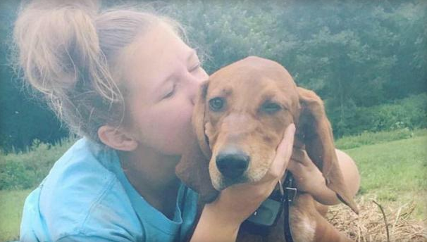 Tristeza: una nena quiso salvar a su perro pero ambos murieron atropelldos | Internacionales