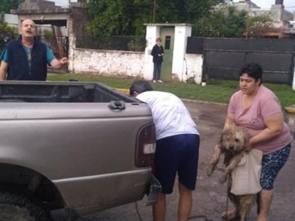 Rescataron a  un perro que iba atado en el paragolpes de una camioneta en Rosario | Actualidad