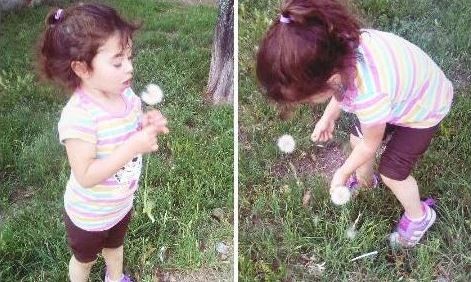 Padres donan los órganos de una nena que murió atropellada por una moto | Actualidad