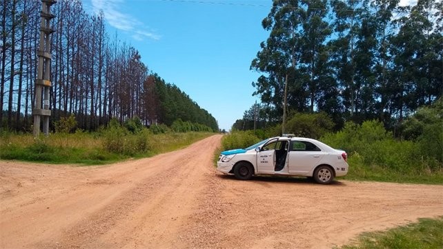 El fuerte hilo de Twitter sobre el femicidio en Entre Ríos | Redes
