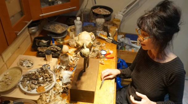 La artista que trabajó 15 años en una obra con mejillones, sin saber que la estaba matando lentamente | Curiosidades