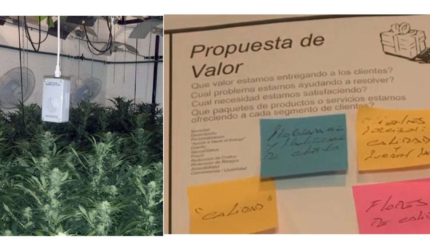 Cayó "El Rey de las Flores", líder de banda narco que operaba en fiestas electrónicas | Actualidad