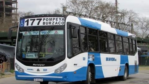 Paran 9 líneas de colectivo por el ataque a un chofer | Actualidad