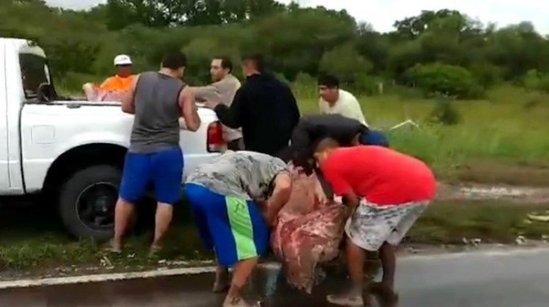 Robaron carne de un camión que había volcado y se intoxicaron | Actualidad