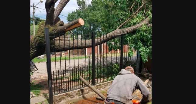 Temporal: cayó una antena gigante en Avellaneda y decenas de árboles en Capital | Actualidad