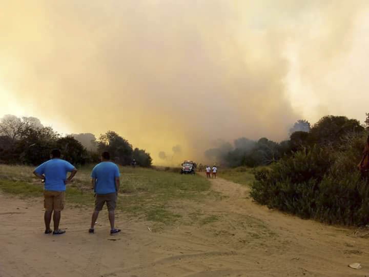 Un incendio forestal en Villa Gesell quemó 160 hectáreas | Actualidad