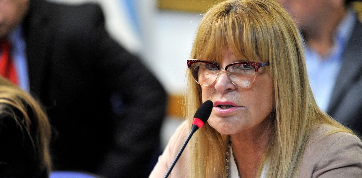 La Justicia confirmó la prisión preventiva de la diputada de Cambiemos Aída Ayala | Política