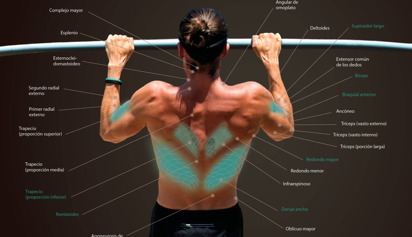 El dramático relato de una mujer fanática del gimnasio: "El ejercicio casi me mata" | Curiosidades