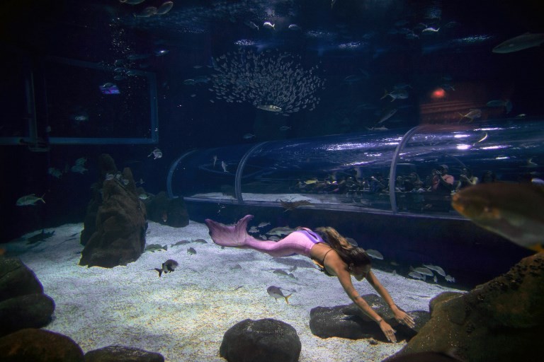 La sirena que cautiva Río de Janeiro | Internacionales