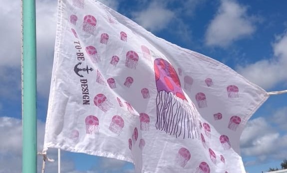Las tapiocas volvieron a invadir las playas de Pinamar y hasta tienen una bandera | Actualidad