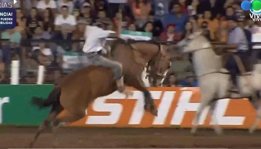 Festival de Jesús María: sacrificaron a un caballo herido en plena competencia | Actualidad