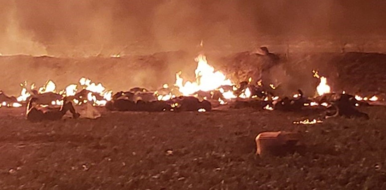 Robaban nafta en México y se prendieron fuego: 66 muertos | Internacionales