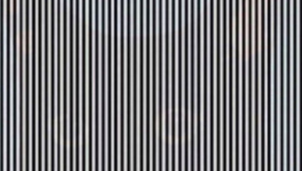 La ilusión óptica que arrasa en redes y que sólo podrás descubrir si mueves la cabeza | Redes