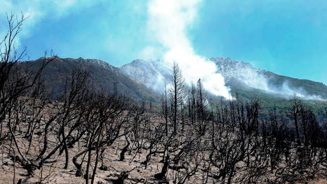 Tratan de controlar un incendio en los alrededores de Lago Puelo | Actualidad