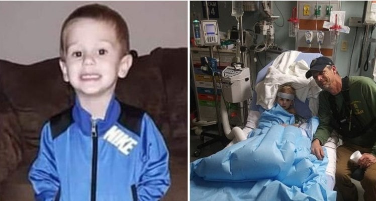 Un nene de 3 años estuvo perdido en un bosque y dice que sobrevivió junto a un oso | Internacionales