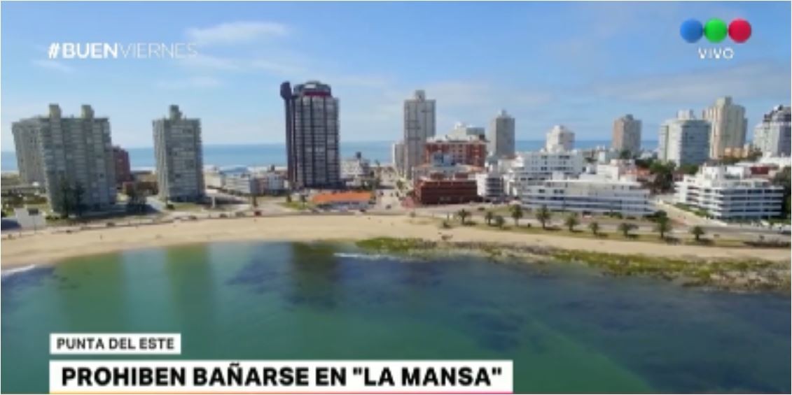 Punta del Este: por una bacteria prohibieron bañarse en la playa La Mansa | Actualidad