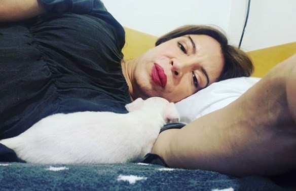 El tierno perrito que adoptó Lizy Tagliani antes del debut de "El precio justo" | Espectáculos
