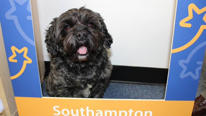 Los ladridos de un perro despertaron a su dueño del coma inducido | Redes