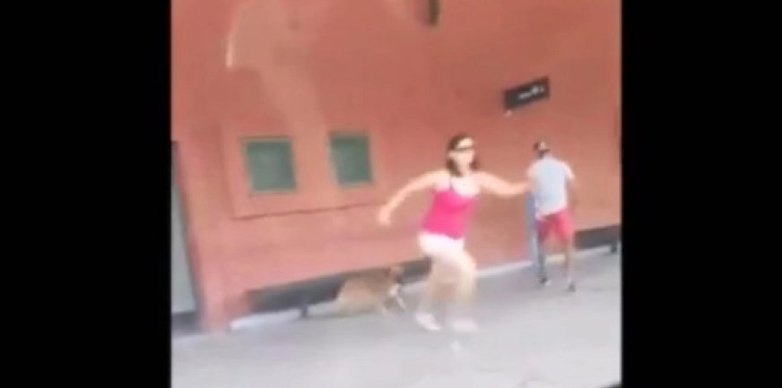 Viral cruel: abandonó a su perro en la estación y se subió corriendo al tren Roca | Actualidad