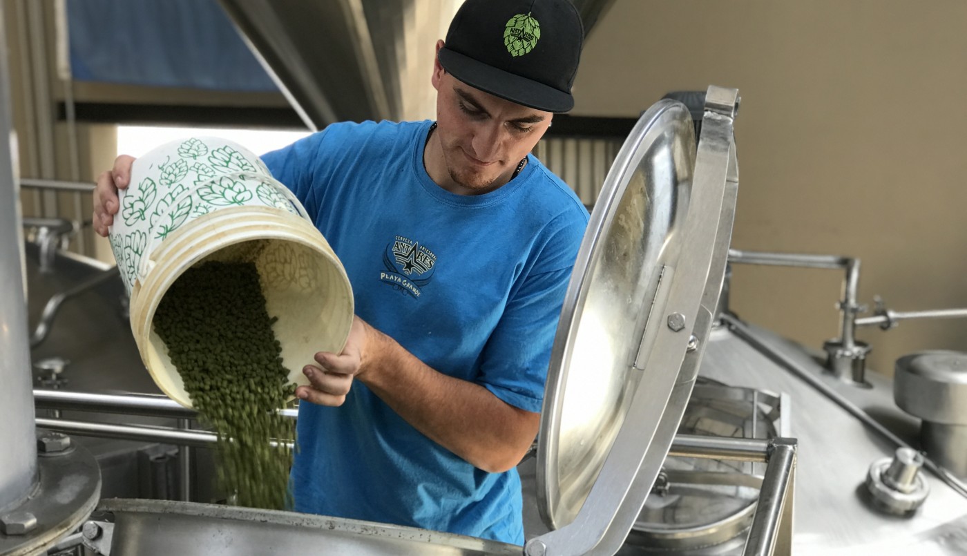 Se viene la primera cerveza argentina hecha con agua de mar desalinizada | Actualidad