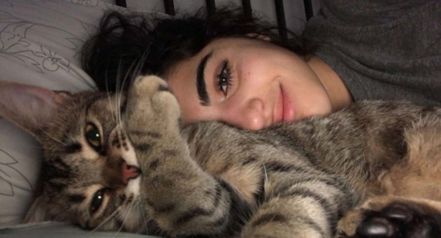 Video viral: se había quedado afuera de su casa y su gato le abrió la puerta | Redes