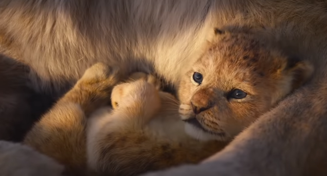 Se viene la remake de El Rey León: el espectacular nuevo trailer | Espectáculos