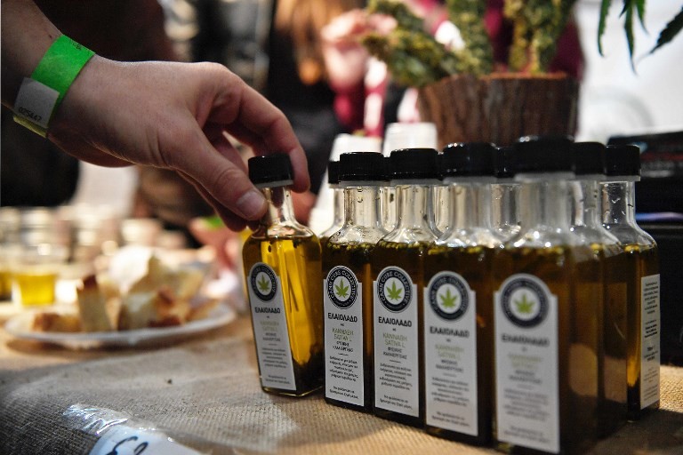 ¿Qué establece la normativa para poder producir aceite de cannabis medicinal? | Actualidad