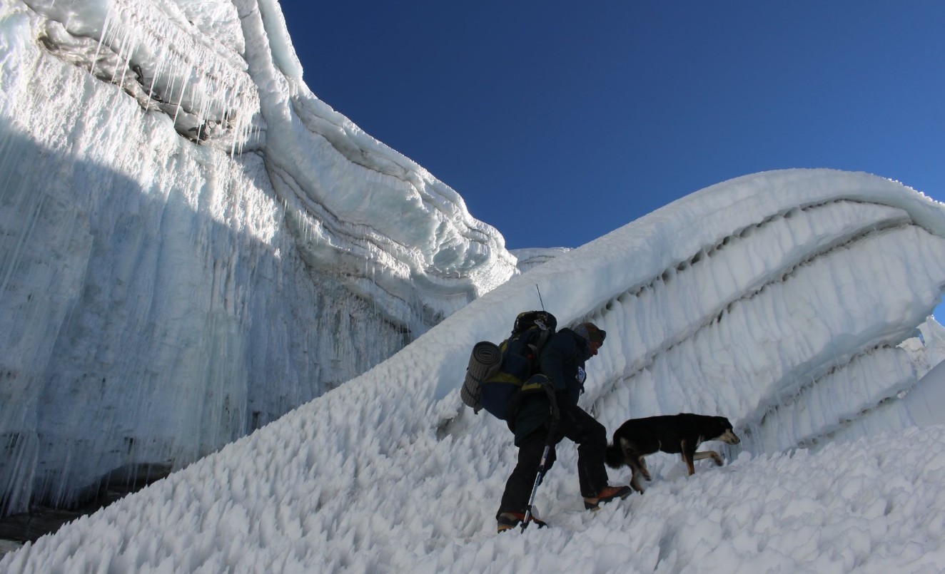 Mera, la perra callejera que conquistó el Himalaya | Redes
