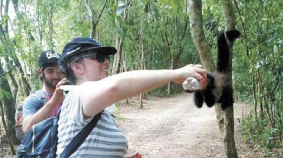 Bronca en las redes: escracharon a una mujer dándole gaseosa a un mono en las Cataratas del Iguazú | Actualidad