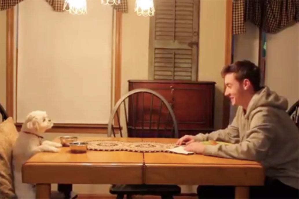 Video viral: así cuida un joven al perro de sus padres | Redes