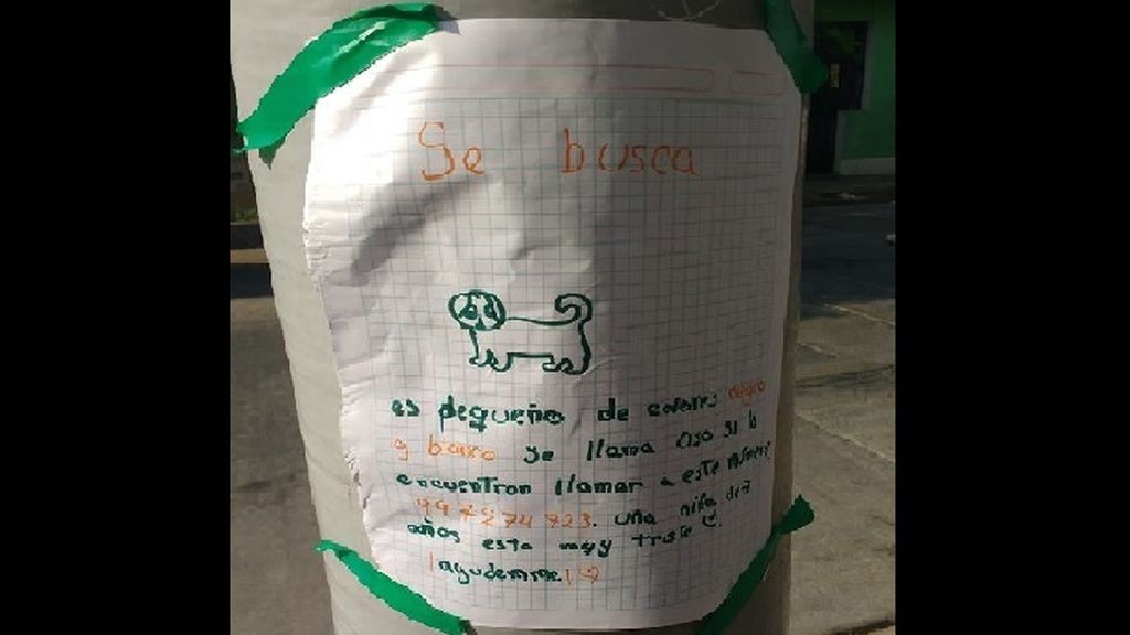 El tierno cartel de una nena de 7 años que busca a su perro perdido | Redes