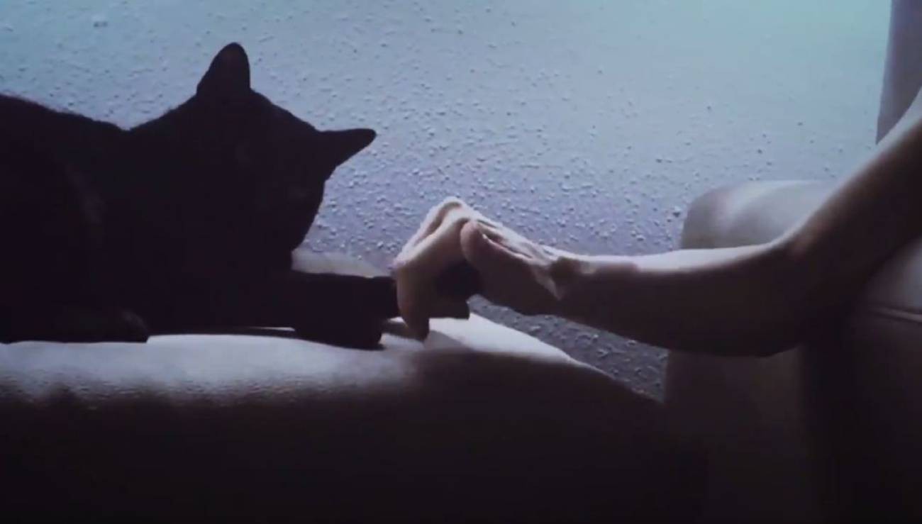 El emotivo momento en que una mujer con parkinson logra acariciar a su gato | Redes