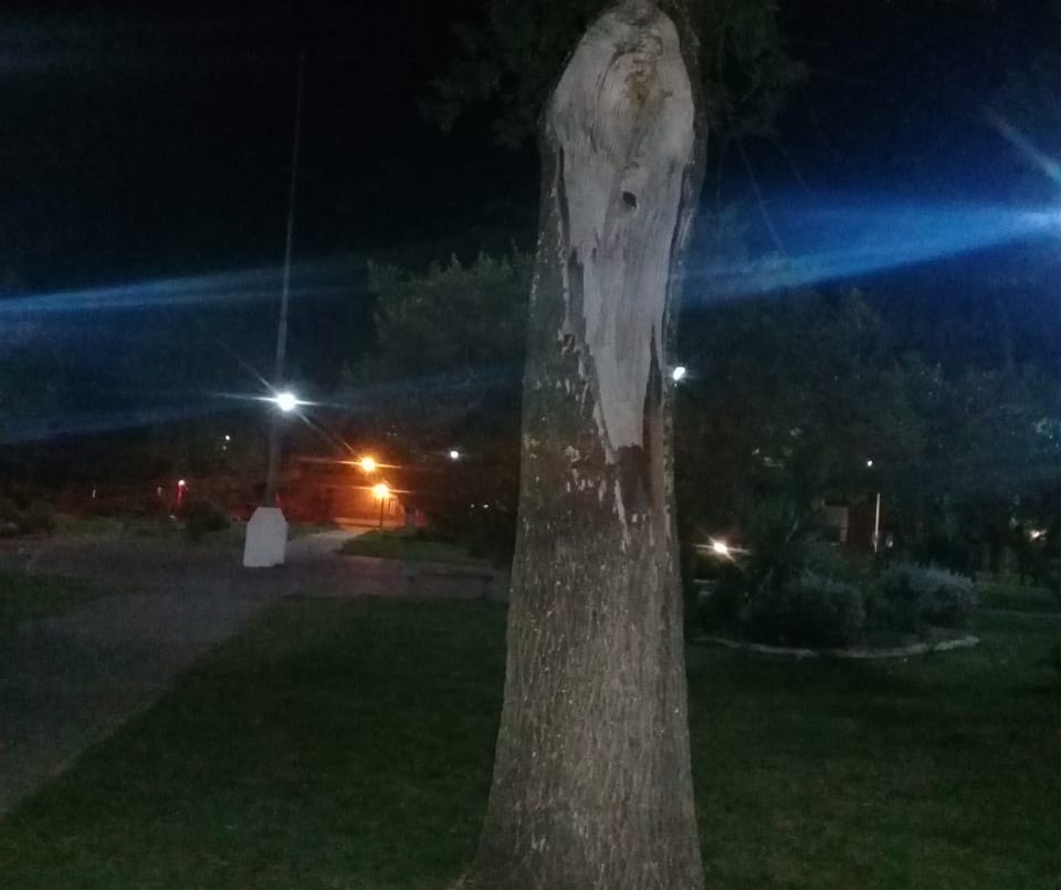 ¿La Virgen María o San La Muerte? | Curiosidades