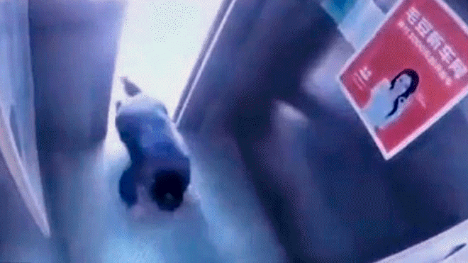 Video impactante: la anciana china que se salva por segundos de morir aplastada por un ascensor | Redes