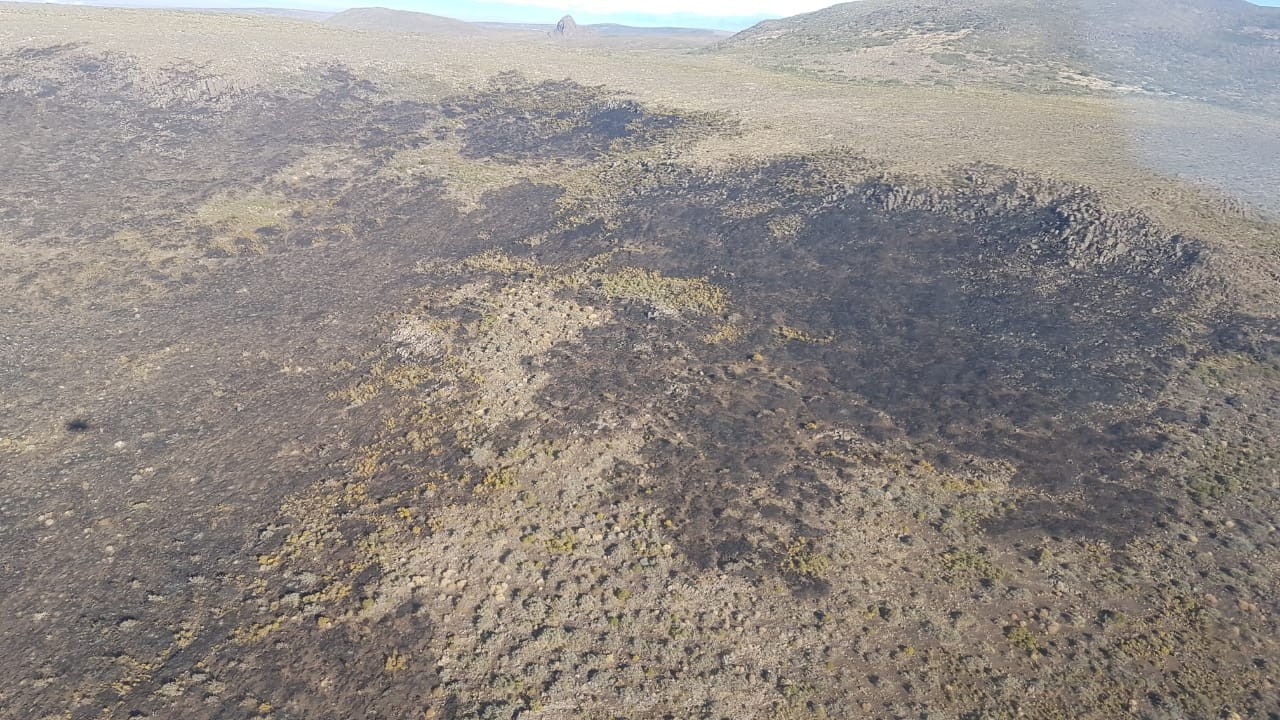 Incendio en Neuquén: las lluvias apagaron el fuego | Actualidad