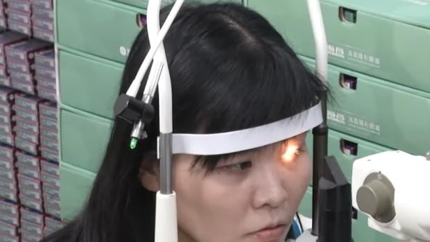 Le sacaron cuatro abejas vivas del ojo a una mujer: se alimentaban de sus lágrimas | Curiosidades