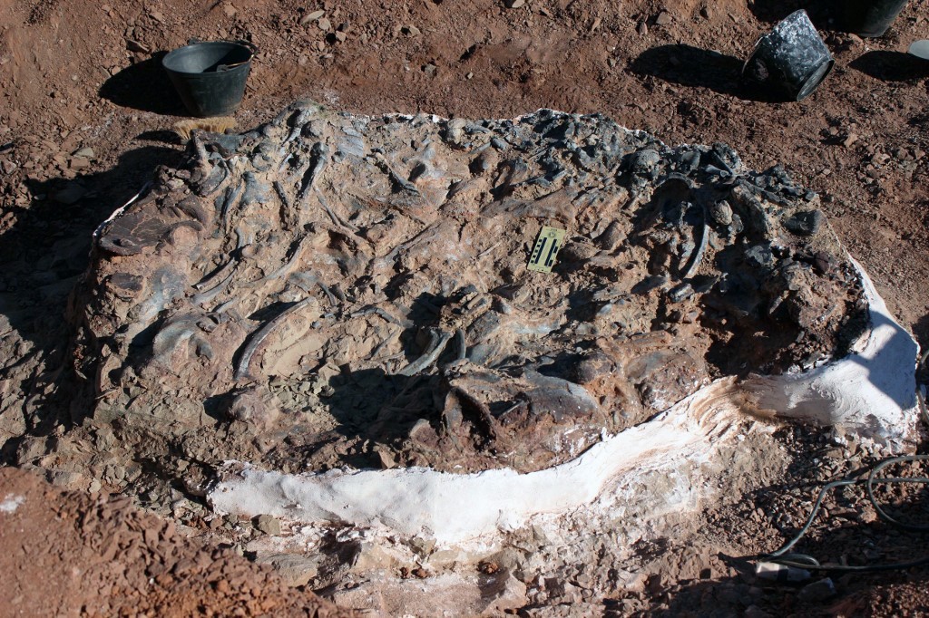Ischigualasto: descubrieron un cementerio de dinosaurios de hace 220 millones de años | Actualidad