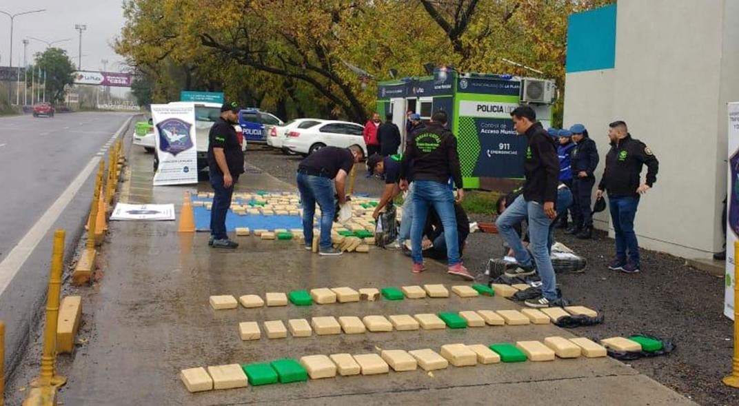 Los detuvieron con casi 500 kilos de marihuana que llevaban en bolsas de alimento para perros | Actualidad