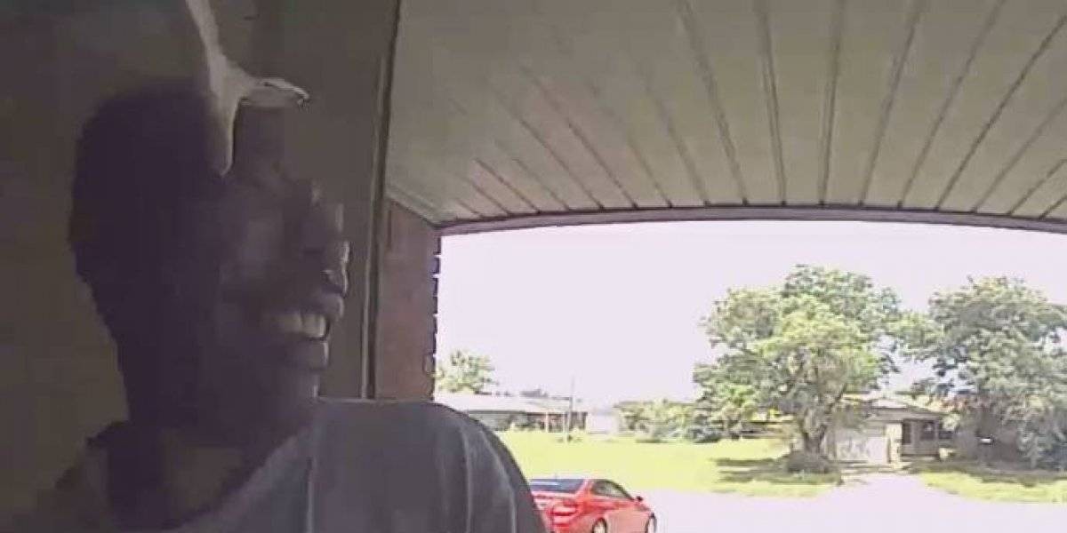 Video: el terrible momento en el que una serpiente muerde la cara de un hombre | Curiosidades