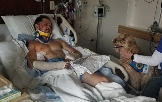 El escalofriante video del escalador que cayó de 20 metros: se quebró las muñecas, 8 costillas y la pelvis | Curiosidades