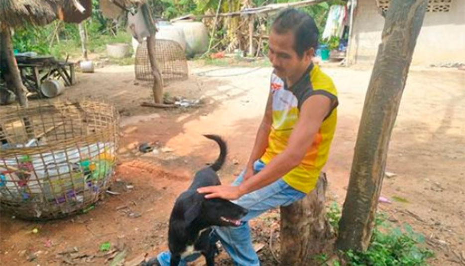 Ping Pong, el perro que rescató a un bebé enterrado vivo por su madre | Internacionales