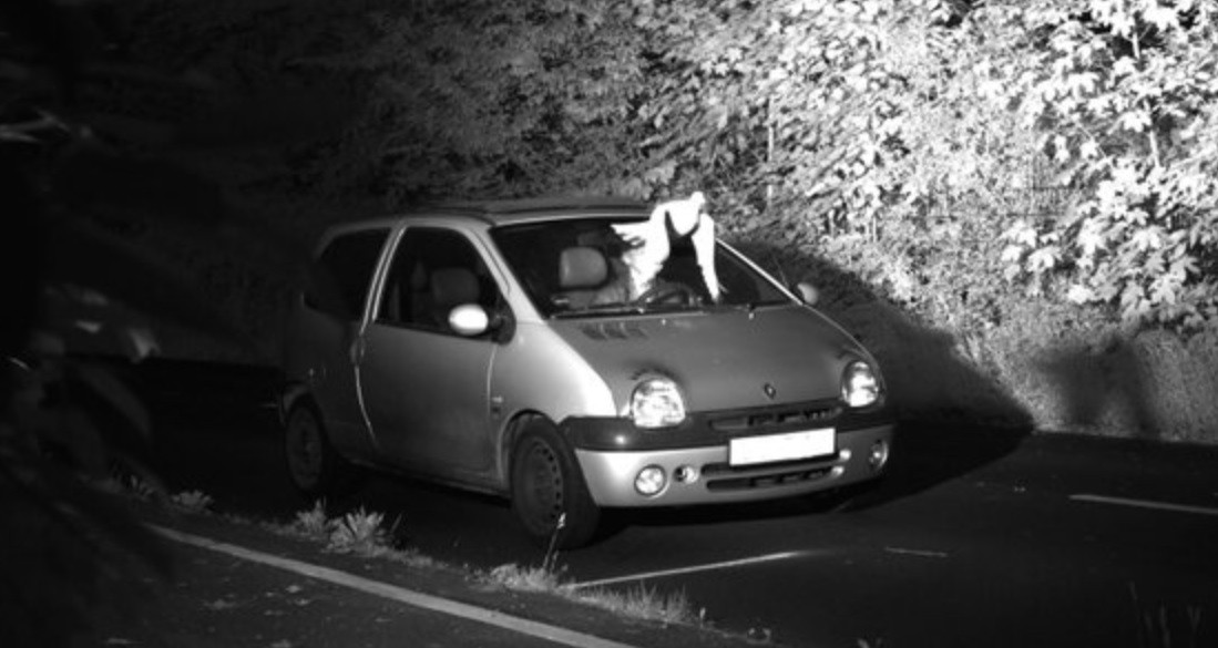 Un pájaro le evitó el pago de la fotomulta | Redes