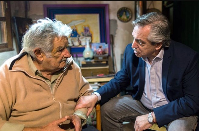 Alberto Fernández: "Estoy dispuesto a competir con Massa en una PASO" | Política